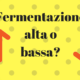 Birra ad alta e bassa fermentazione