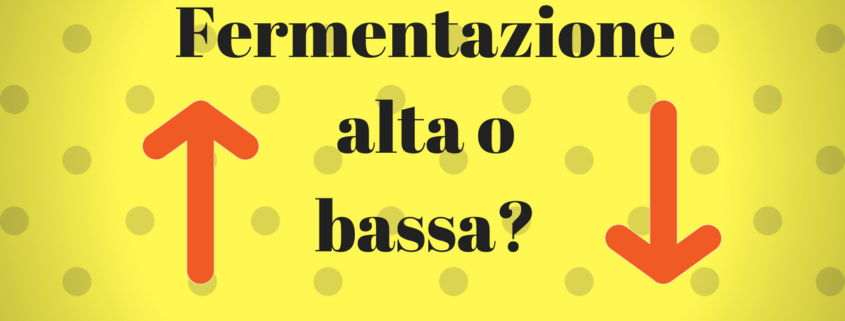 Birra ad alta e bassa fermentazione